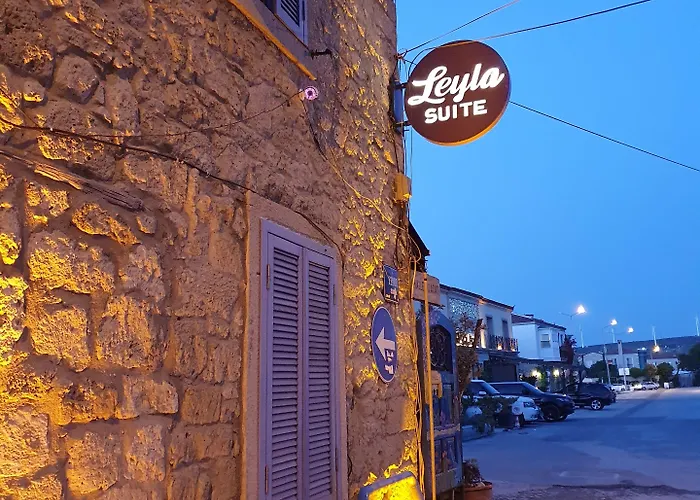 酒店 Leyla 阿拉恰特